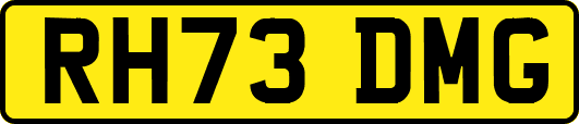 RH73DMG