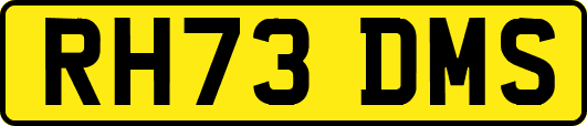 RH73DMS