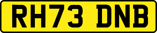 RH73DNB