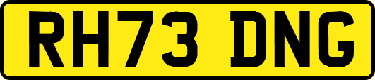 RH73DNG