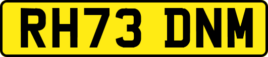 RH73DNM