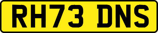 RH73DNS