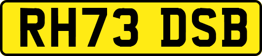 RH73DSB