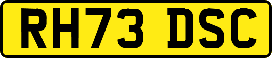 RH73DSC
