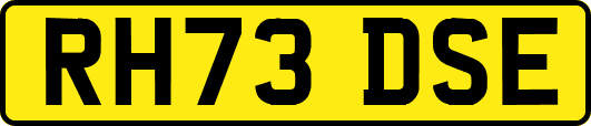 RH73DSE