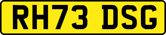RH73DSG