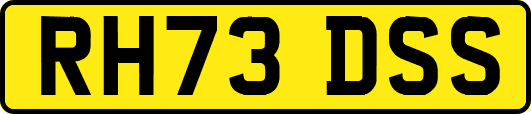 RH73DSS