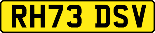 RH73DSV