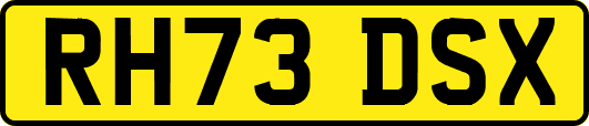 RH73DSX