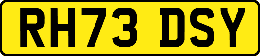 RH73DSY