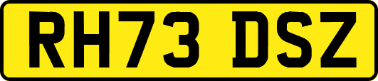 RH73DSZ