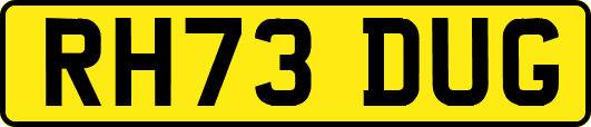 RH73DUG