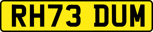 RH73DUM