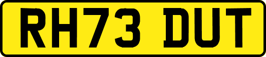 RH73DUT