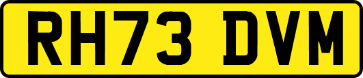 RH73DVM