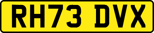 RH73DVX