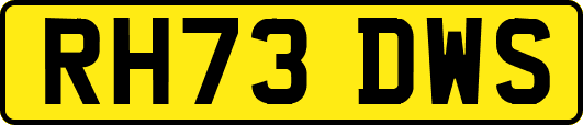 RH73DWS