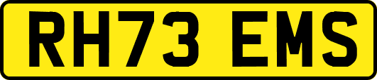 RH73EMS