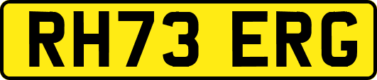RH73ERG