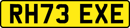 RH73EXE