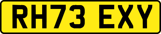 RH73EXY