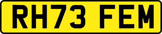 RH73FEM