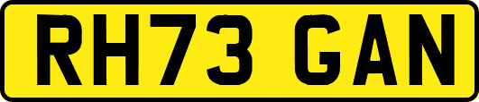 RH73GAN