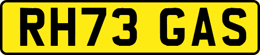RH73GAS