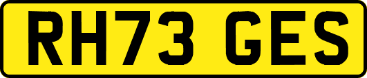 RH73GES