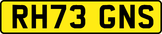 RH73GNS