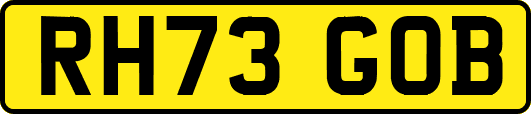 RH73GOB