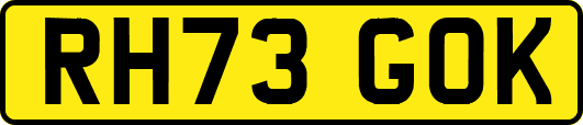 RH73GOK