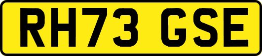 RH73GSE