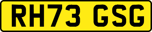 RH73GSG