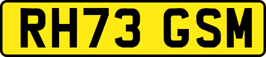 RH73GSM