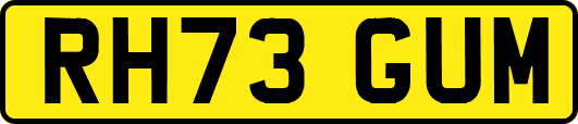 RH73GUM