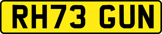 RH73GUN
