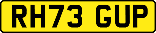 RH73GUP