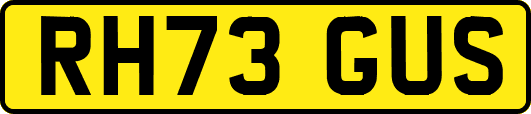 RH73GUS