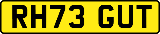 RH73GUT