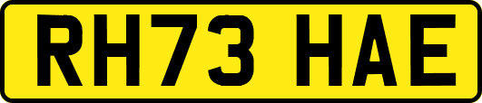 RH73HAE