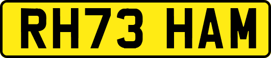 RH73HAM