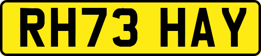 RH73HAY