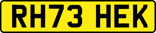 RH73HEK