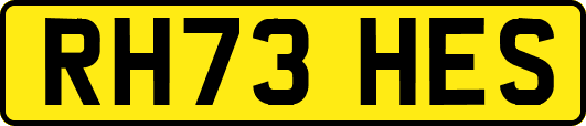 RH73HES