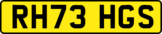 RH73HGS