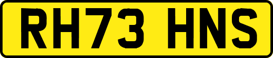 RH73HNS