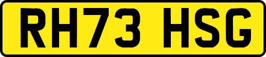 RH73HSG