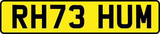 RH73HUM