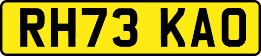 RH73KAO